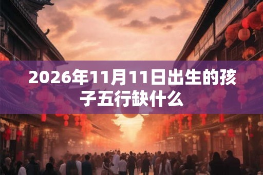 2026年11月11日出生的孩子五行缺什么