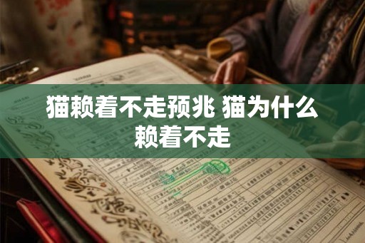 猫赖着不走预兆 猫为什么赖着不走