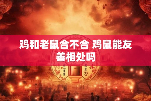 鸡和老鼠合不合 鸡鼠能友善相处吗