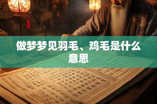 做梦梦见羽毛、鸡毛是什么意思
