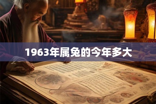 1963年属兔的今年多大