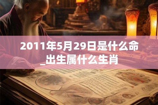 2011年5月29日是什么命_出生属什么生肖