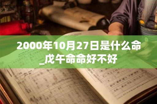 2000年10月27日是什么命_戊午命命好不好