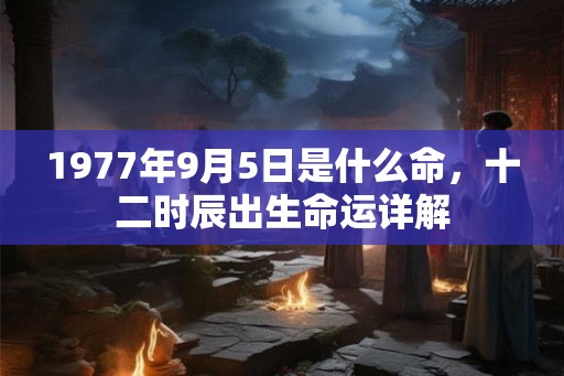1977年9月5日是什么命，十二时辰出生命运详解