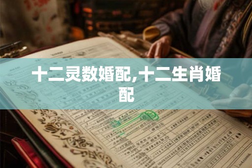 十二灵数婚配,十二生肖婚配 十二灵数婚配,十二生肖婚配