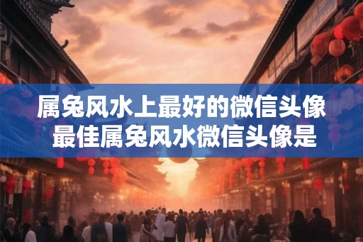 属兔风水上最好的微信头像 最佳属兔风水微信头像是什么