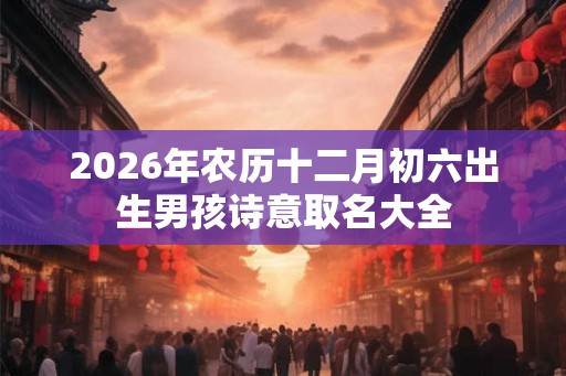 2026年农历十二月初六出生男孩诗意取名大全