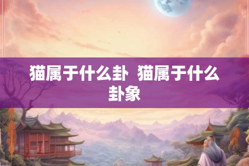 猫属于什么卦 猫属于什么卦象 猫属于什么卦 猫属于什么卦象