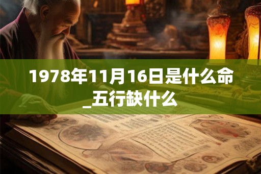1978年11月16日是什么命_五行缺什么