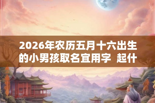 2026年农历五月十六出生的小男孩取名宜用字  起什么名字寓意佳