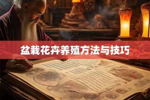 盆栽花卉养殖方法与技巧 盆栽花卉养殖方法与技巧