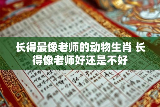 长得最像老师的动物生肖 长得像老师好还是不好