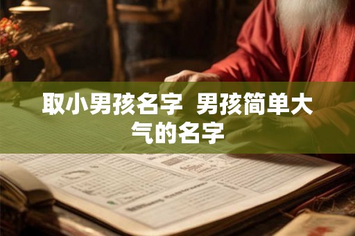 取小男孩名字  男孩简单大气的名字