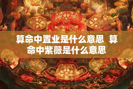 算命中置业是什么意思  算命中紫薇是什么意思