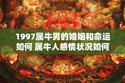 1997属牛男的婚姻和命运如何 属牛人感情状况如何