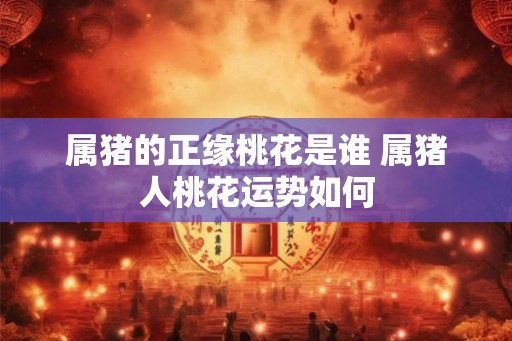 属猪的正缘桃花是谁 属猪人桃花运势如何
