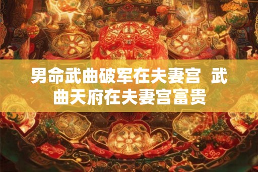 男命武曲破军在夫妻宫  武曲天府在夫妻宫富贵