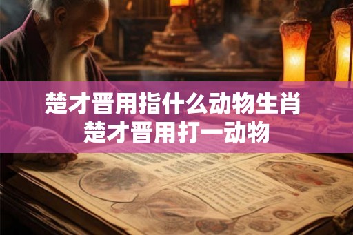 楚才晋用指什么动物生肖 楚才晋用打一动物