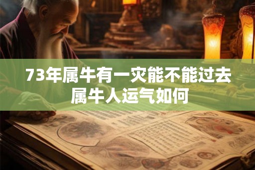 73年属牛有一灾能不能过去 属牛人运气如何
