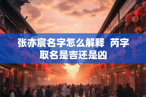 张亦宸名字怎么解释  芮字取名是吉还是凶