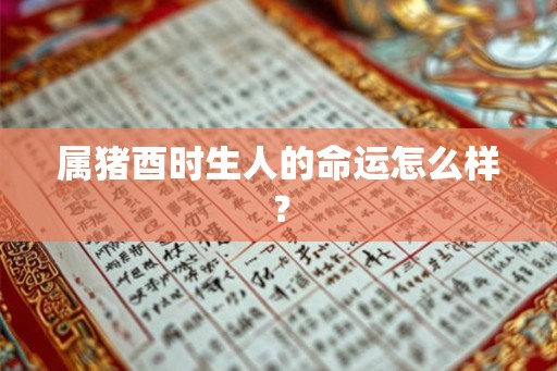 属猪酉时生人的命运怎么样？