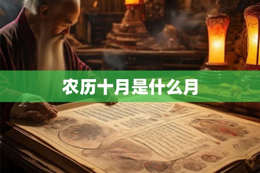 农历十月是什么月