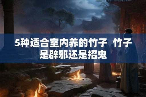 5种适合室内养的竹子  竹子是辟邪还是招鬼