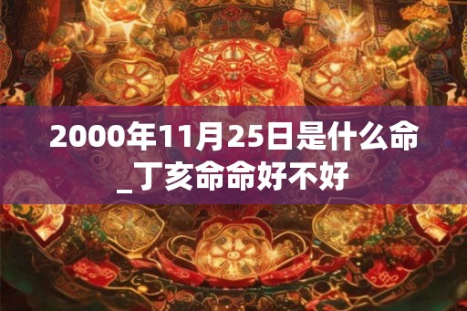 2000年11月25日是什么命_丁亥命命好不好