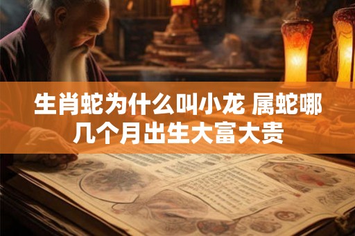 生肖蛇为什么叫小龙 属蛇哪几个月出生大富大贵