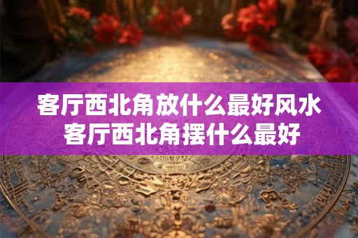 客厅西北角放什么最好风水 客厅西北角摆什么最好 客厅西北角放什么最好风水 客厅西北角摆什么最好