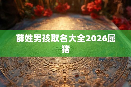 薛姓男孩取名大全2026属猪
