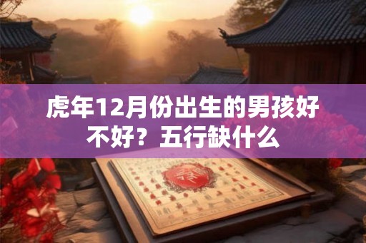 虎年12月份出生的男孩好不好？五行缺什么