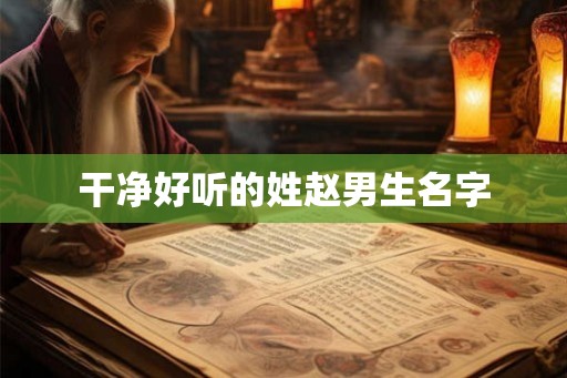 干净好听的姓赵男生名字