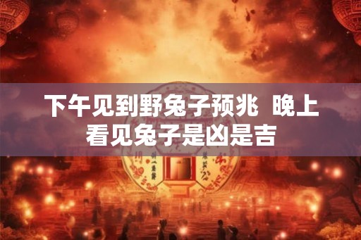下午见到野兔子预兆  晚上看见兔子是凶是吉