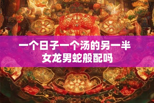 一个日子一个汤的另一半  女龙男蛇般配吗