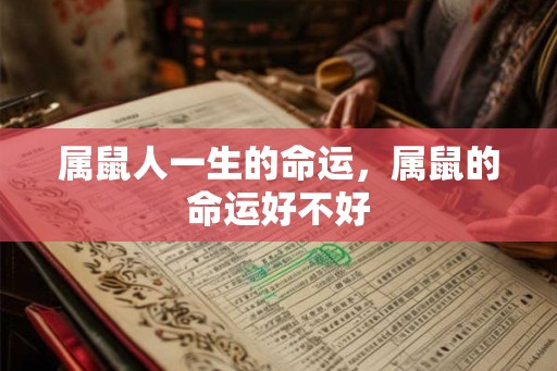 属鼠人一生的命运,属鼠的命运好不好 属鼠人一生的命运,属鼠的命运好不好
