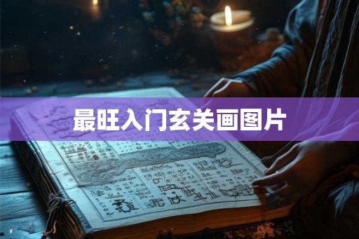 最旺入门玄关画图片