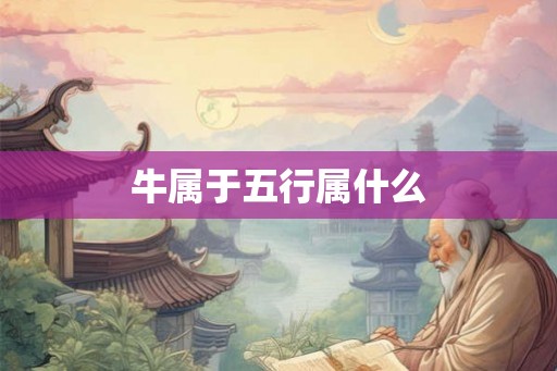 牛属于五行属什么