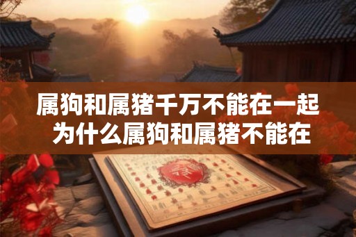 属狗和属猪千万不能在一起 为什么属狗和属猪不能在一起 属狗和属猪千万不能在一起 为什么属狗和属猪不能在一起