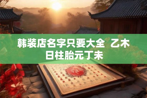韩装店名字只要大全  乙木日柱胎元丁未