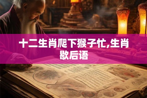 十二生肖爬下猴子忙,生肖歇后语
