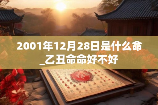 2001年12月28日是什么命_乙丑命命好不好