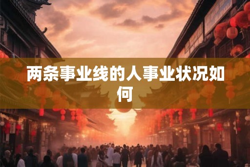 两条事业线的人事业状况如何