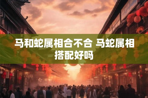 马和蛇属相合不合 马蛇属相搭配好吗
