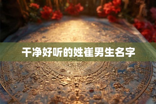 干净好听的姓崔男生名字