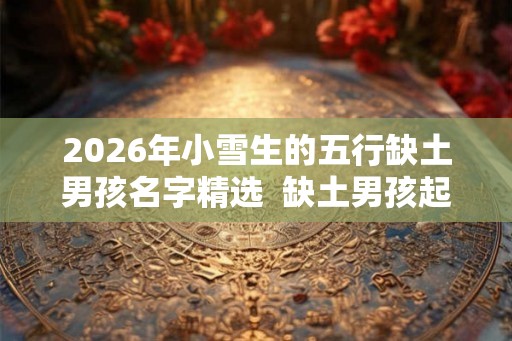 2026年小雪生的五行缺土男孩名字精选  缺土男孩起名参考