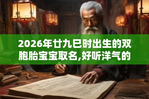 2026年廿九巳时出生的双胞胎宝宝取名,好听洋气的名字