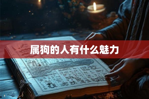 属狗的人有什么魅力