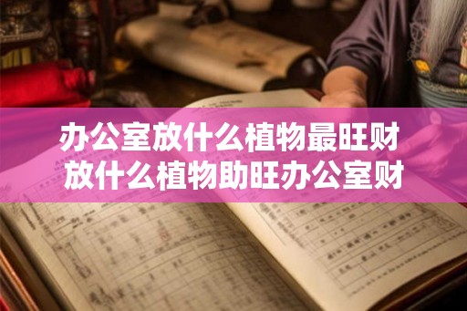办公室放什么植物最旺财 放什么植物助旺办公室财 办公室放什么植物最旺财 放什么植物助旺办公室财