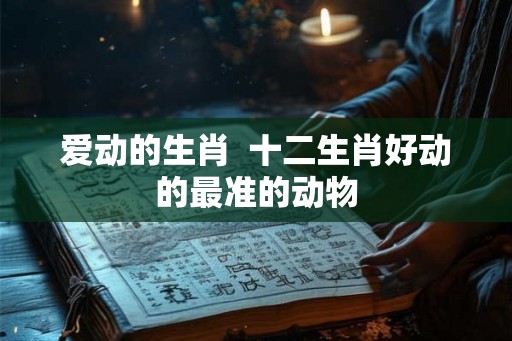爱动的生肖  十二生肖好动的最准的动物
